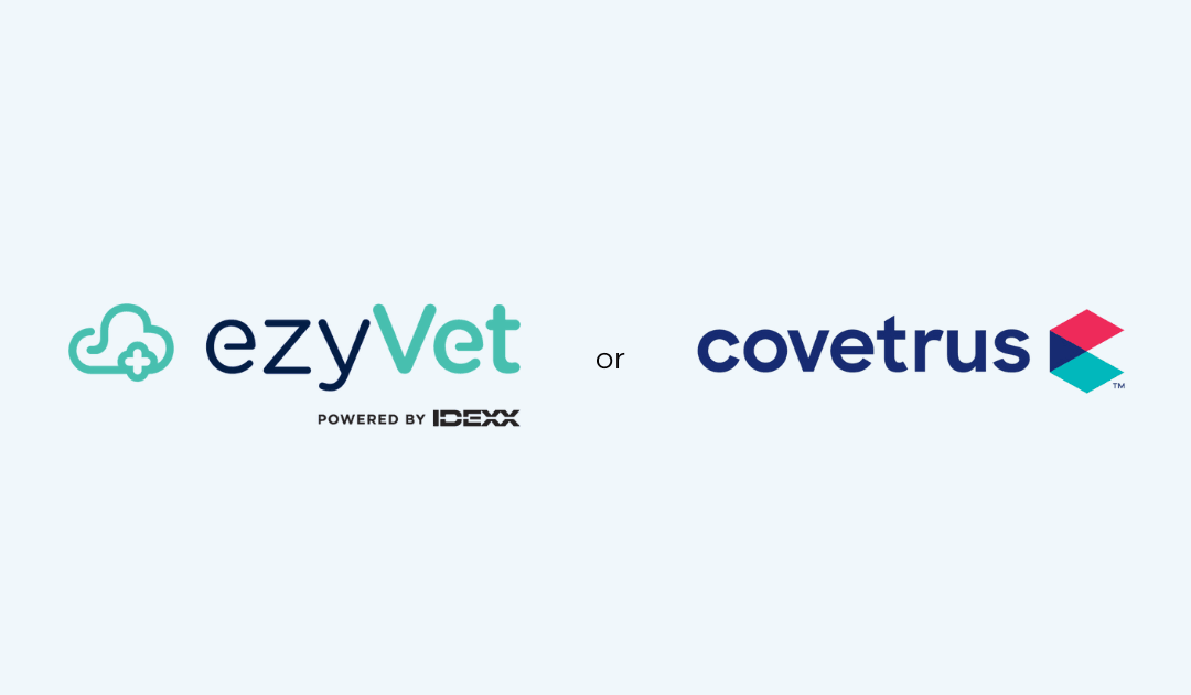 Dog thinking about ezyVet or Covetrus Pulse