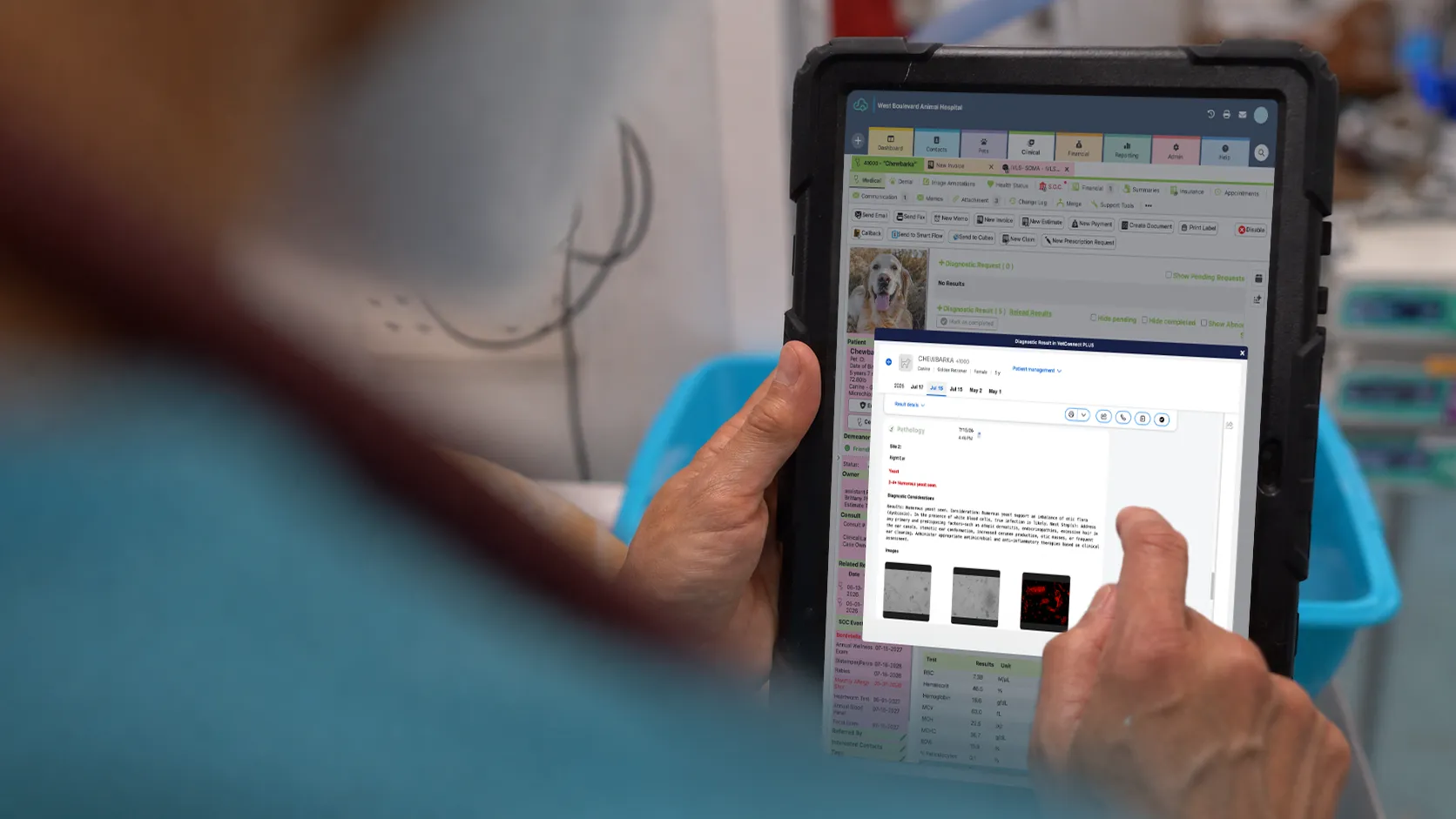 ezyVet Ipad