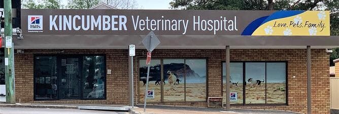 Kincumber Vet Frontage Banner