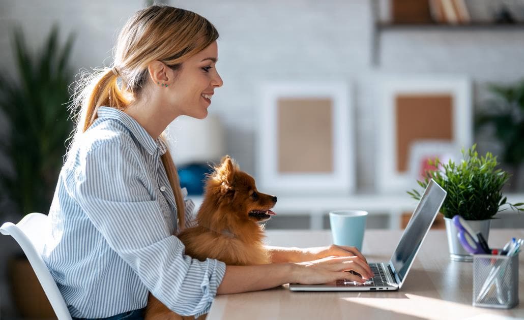 Woman and dog working on laptop 1030 x 630