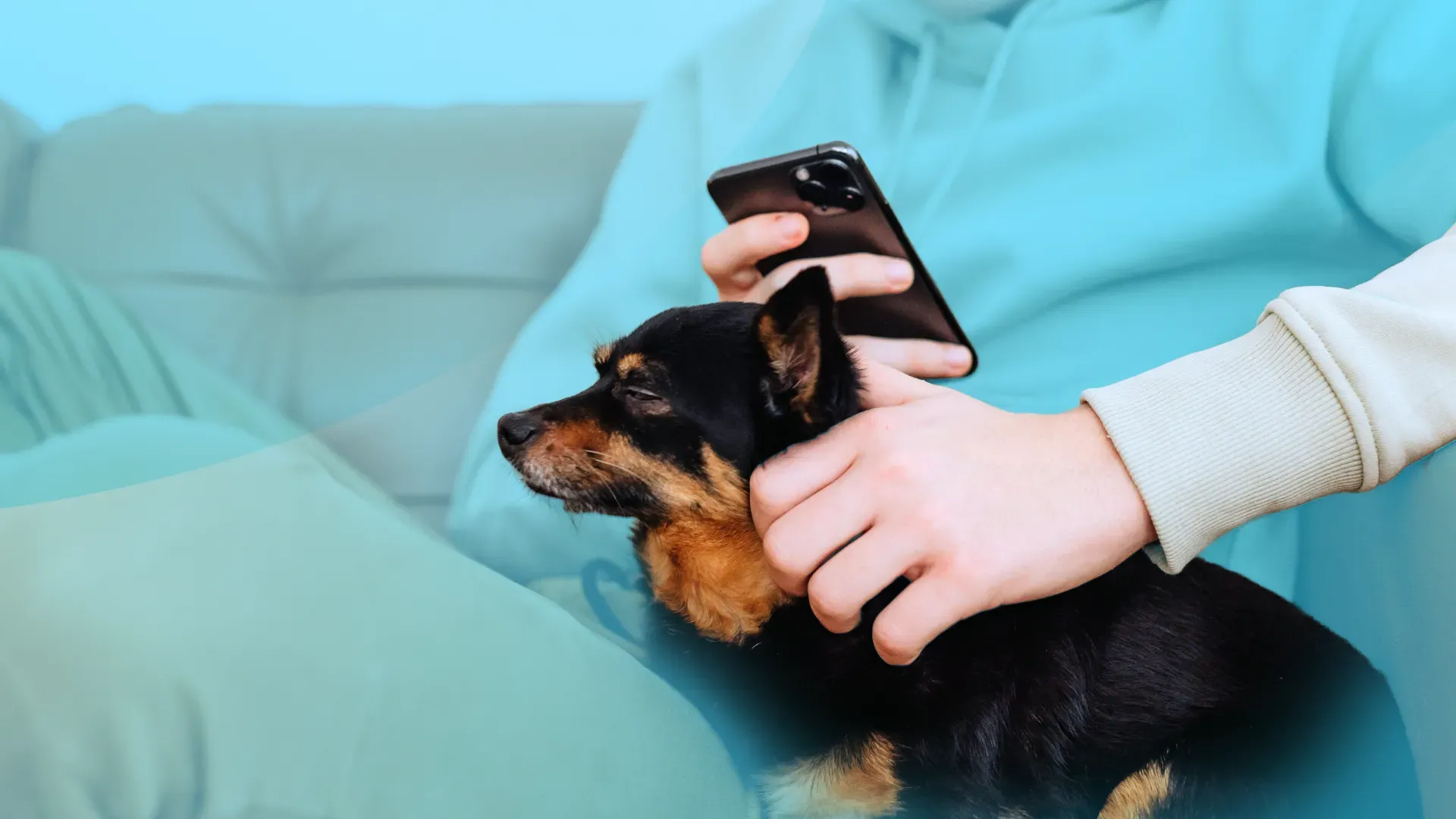 Person holding small dog on lap 1030 x 630