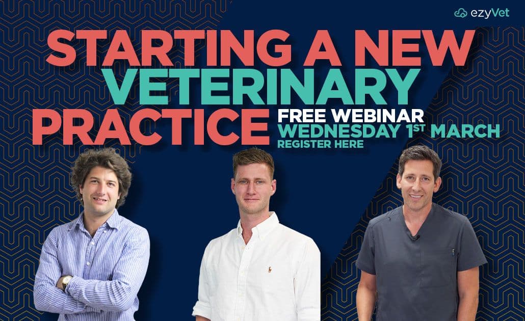 Realising your vision: starting a new veterinary practice