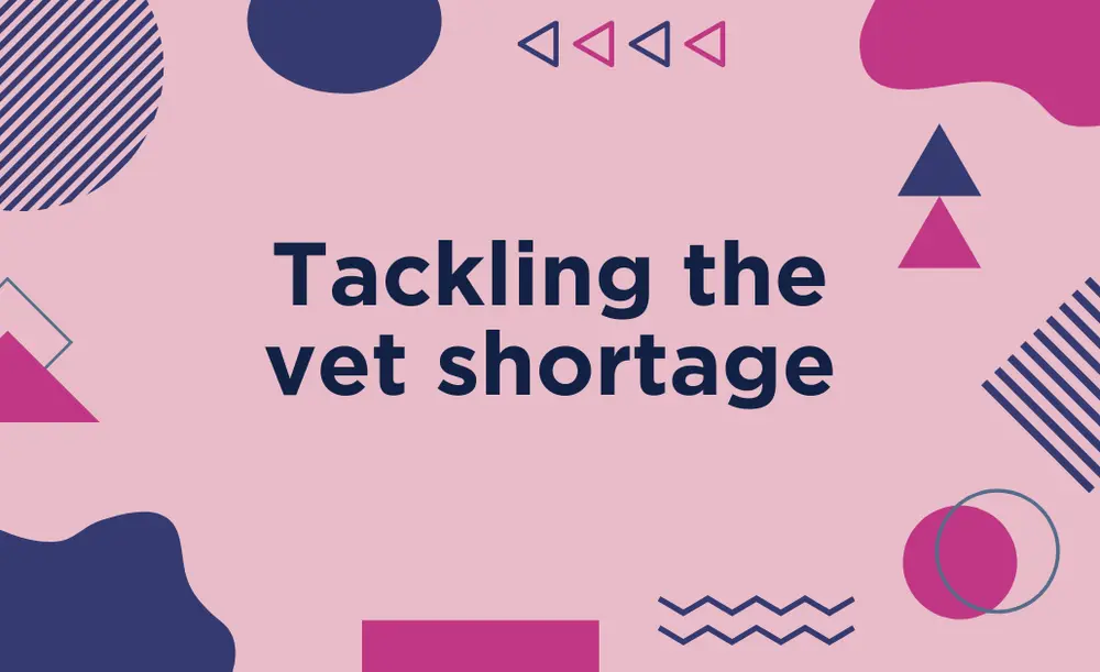Tackling the vet shortage | CE #20-888184 | 1 hour