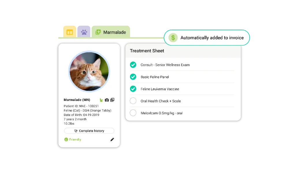 Treatment sheet ezyVet UI