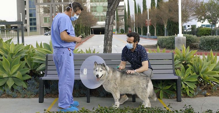 VSSOC Follow Up Dr Cambridge Outside with Patient 760x395